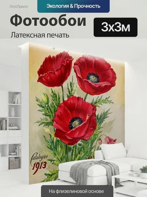 300 × 300 см · Латексная печать