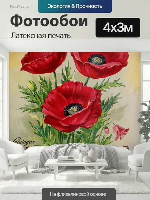 400 × 300 см · Латексная печать
