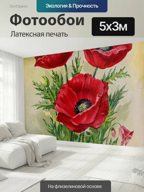 500 × 300 см · Латексная печать