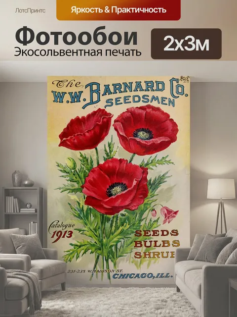 200 × 300 см · Экосольвентная печать