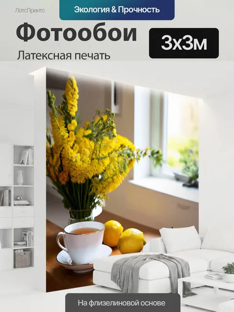 300 × 300 см · Латексная печать