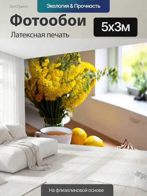 500 × 300 см · Латексная печать