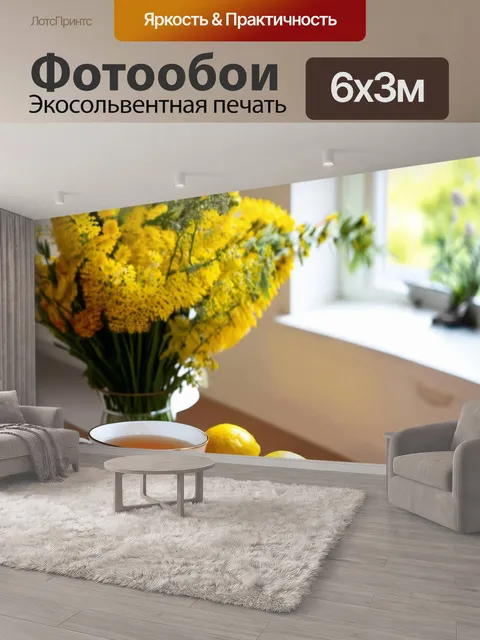 600 × 300 см · Экосольвентная печать