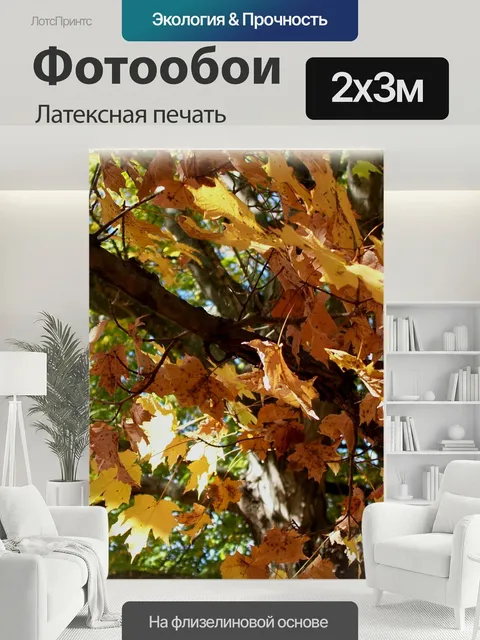 200 × 300 см · Латексная печать