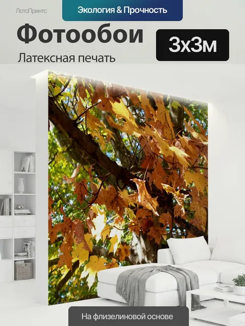 300 × 300 см · Латексная печать