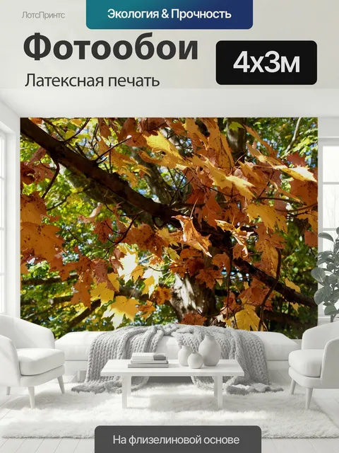 400 × 300 см · Латексная печать