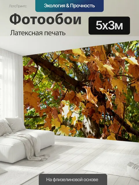 500 × 300 см · Латексная печать