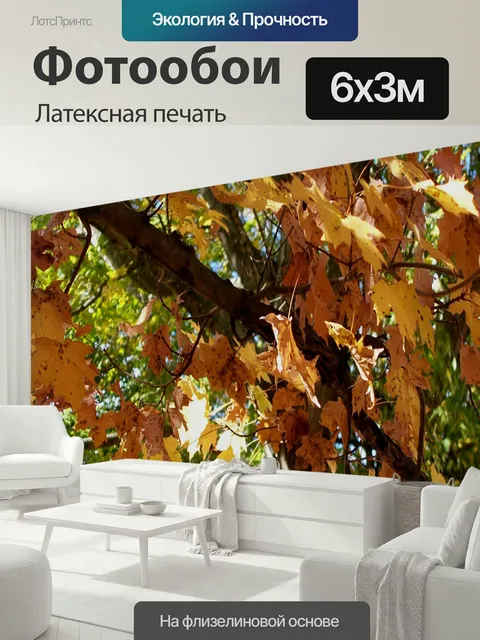 600 × 300 см · Латексная печать