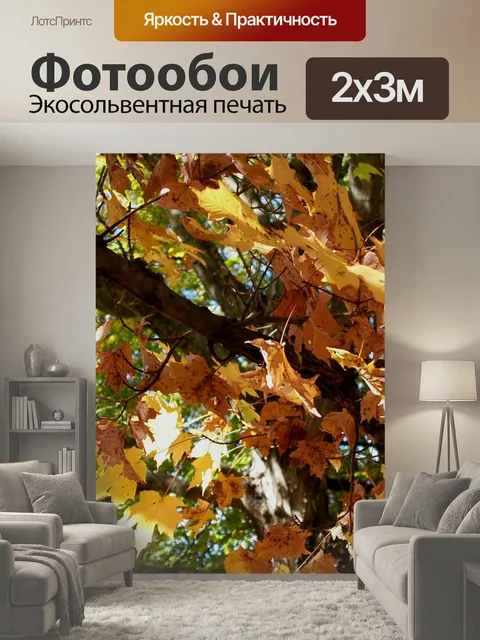 200 × 300 см · Экосольвентная печать