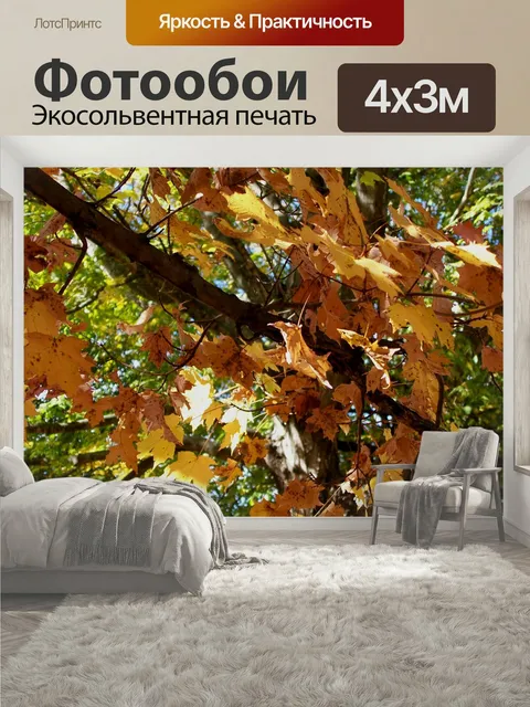 400 × 300 см · Экосольвентная печать
