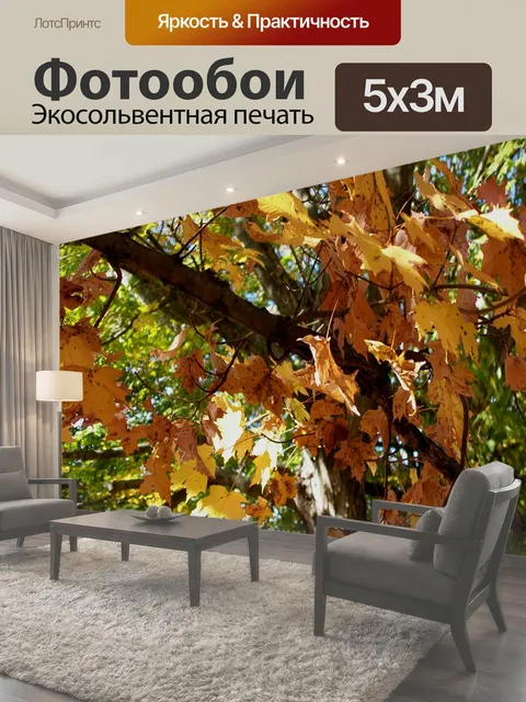 500 × 300 см · Экосольвентная печать