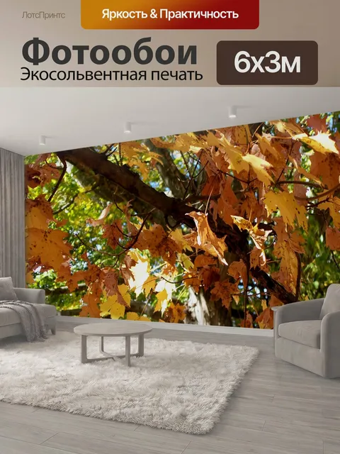 600 × 300 см · Экосольвентная печать
