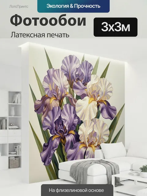 300 × 300 см · Латексная печать