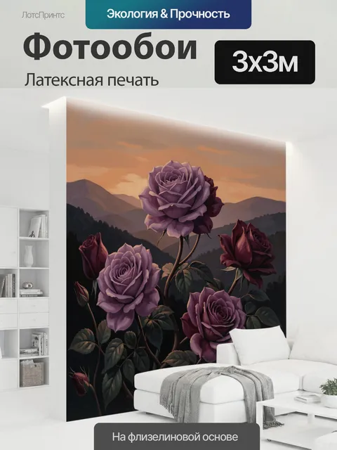 300 × 300 см · Латексная печать