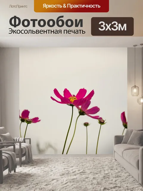 Фотообои Цветы, космея, растение
