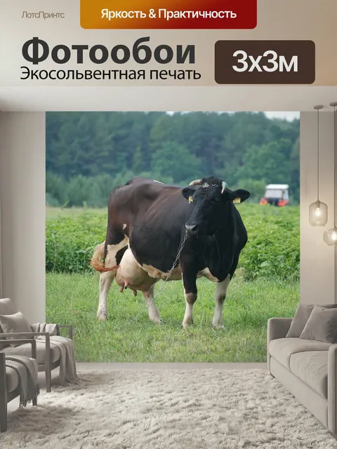 Фотообои Корова, коровы, молоко