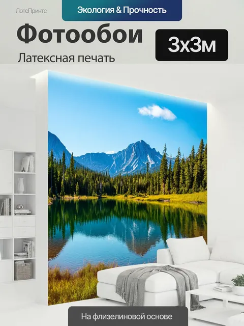 300 × 300 см · Латексная печать