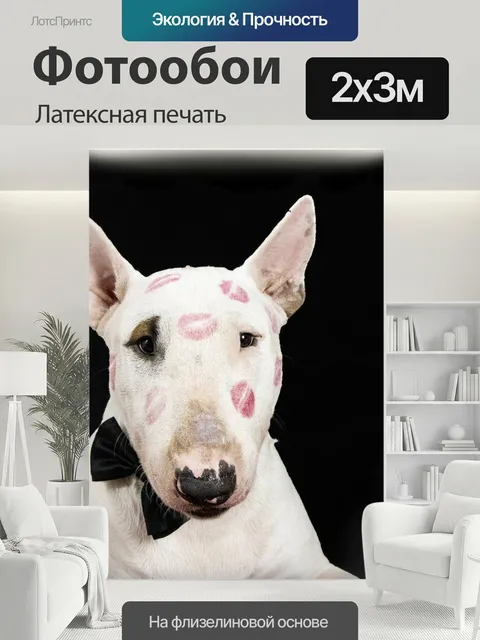 200 × 300 см · Латексная печать