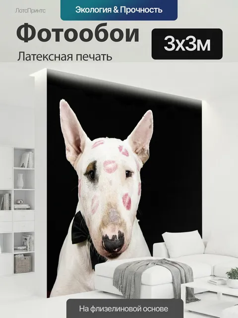 300 × 300 см · Латексная печать