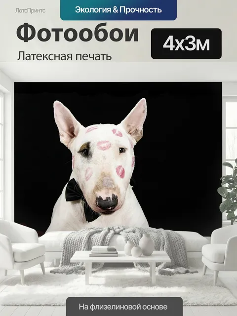 400 × 300 см · Латексная печать