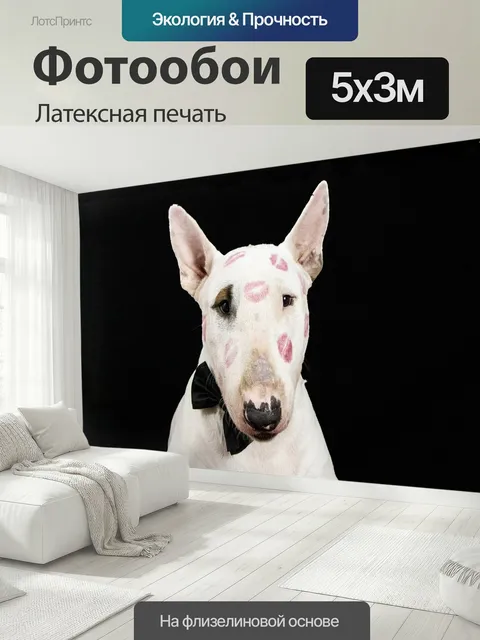 500 × 300 см · Латексная печать