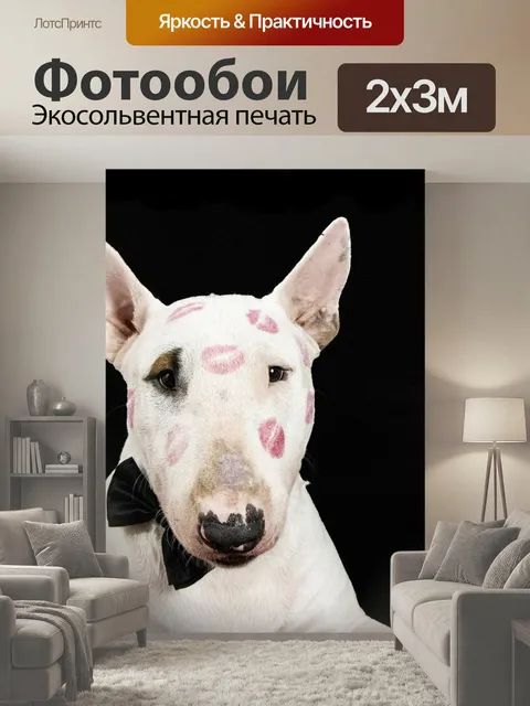 200 × 300 см · Экосольвентная печать