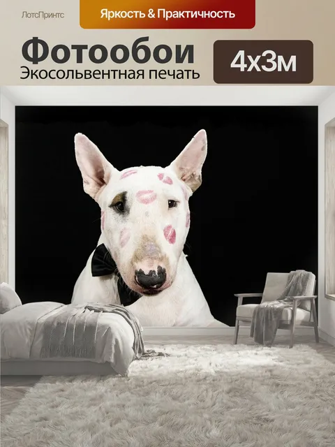400 × 300 см · Экосольвентная печать