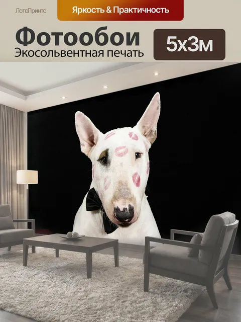500 × 300 см · Экосольвентная печать