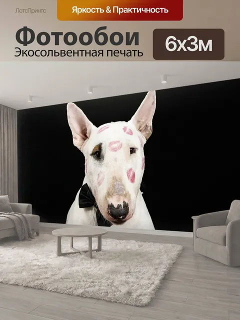 600 × 300 см · Экосольвентная печать