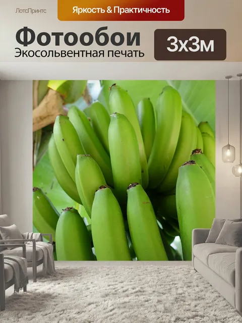 Фотообои Бананы, банановое дерево, природа