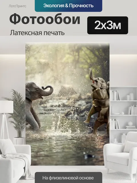200 × 300 см · Латексная печать