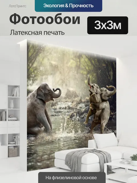 300 × 300 см · Латексная печать