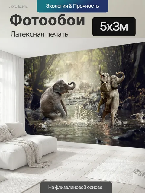 500 × 300 см · Латексная печать