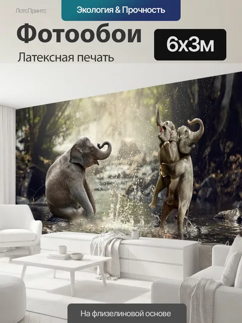 600 × 300 см · Латексная печать