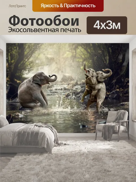 400 × 300 см · Экосольвентная печать