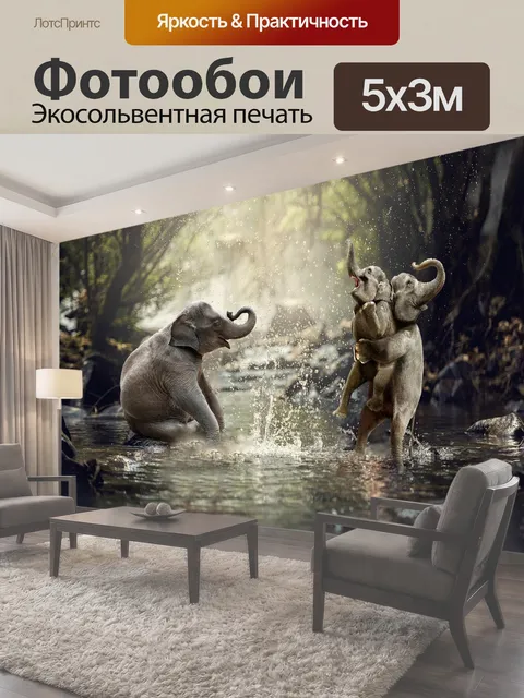 500 × 300 см · Экосольвентная печать