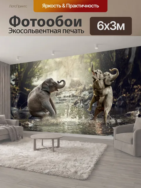 600 × 300 см · Экосольвентная печать