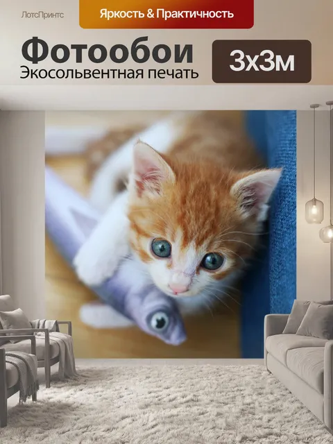 Фотообои Кот, детские кот, кошка