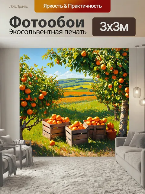 Фотообои Прованс, на которых изображены апельсиновые рощи с солнцем, пробивающимся сквозь листву. среди деревьев распо…
