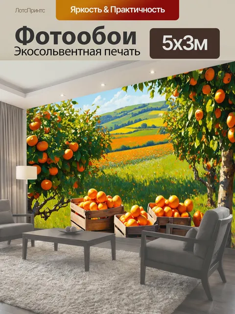 Фотообои Прованс, на которых изображены апельсиновые рощи с солнцем, пробивающимся сквозь листву