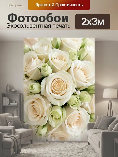 200 × 300 см · Экосольвентная печать
