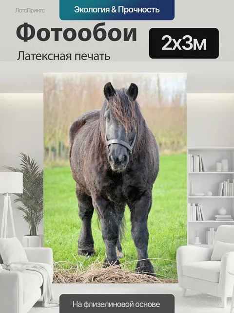 200 × 300 см · Латексная печать