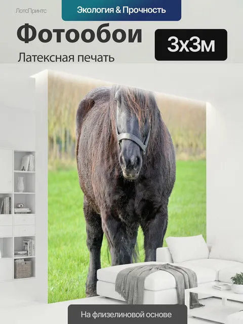 300 × 300 см · Латексная печать