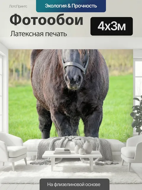 400 × 300 см · Латексная печать
