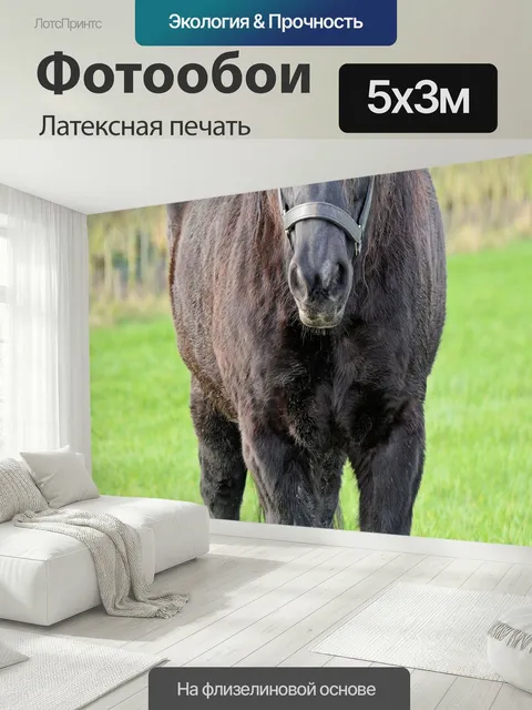 500 × 300 см · Латексная печать