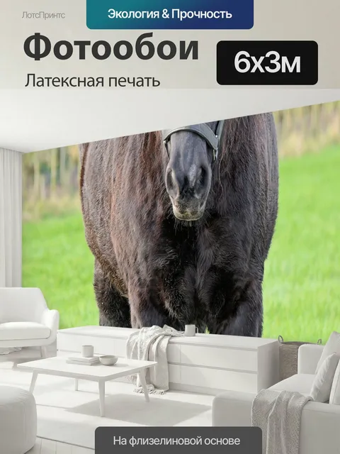 600 × 300 см · Латексная печать