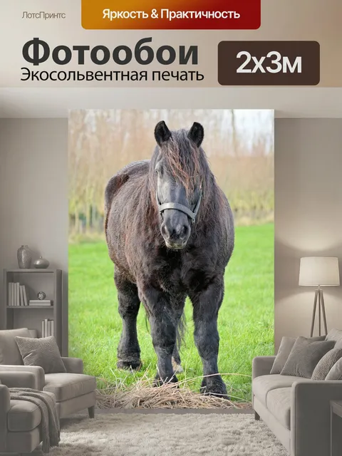 200 × 300 см · Экосольвентная печать