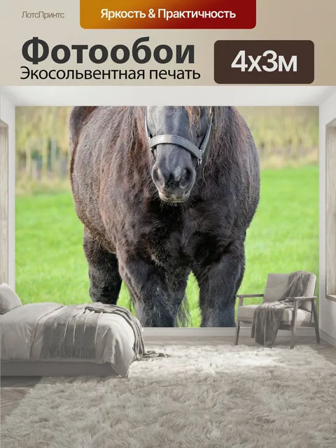 400 × 300 см · Экосольвентная печать