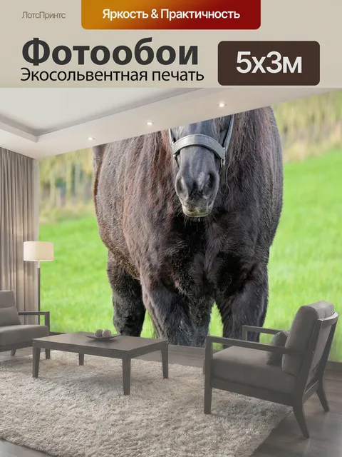 500 × 300 см · Экосольвентная печать