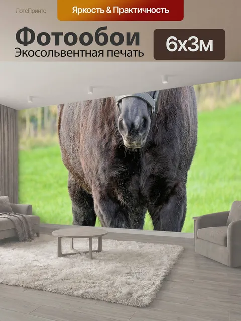 600 × 300 см · Экосольвентная печать